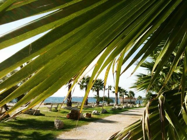 Deby Beach House Вир Екстериор снимка